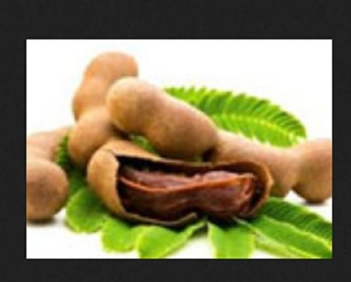 100% Pure And Fresh Sour Taste A Grade Organic Brown Tamarind Imli Used For Feed