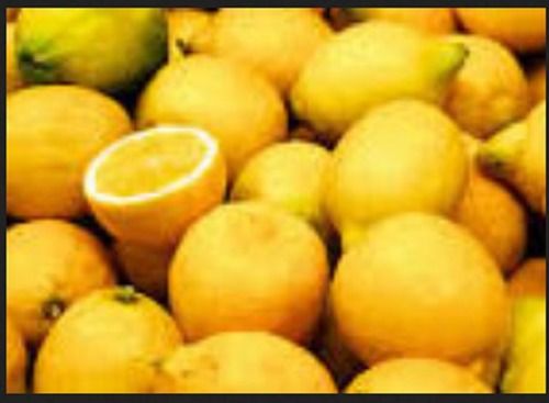 Round A Grade Tamil Naidu Naturally Grown Organic Yellow Fresh And Juicy Lemon