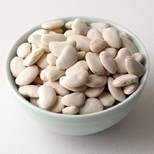 Dry And Fresh Lima Beans at Best Price in Miri Mariox Trading
