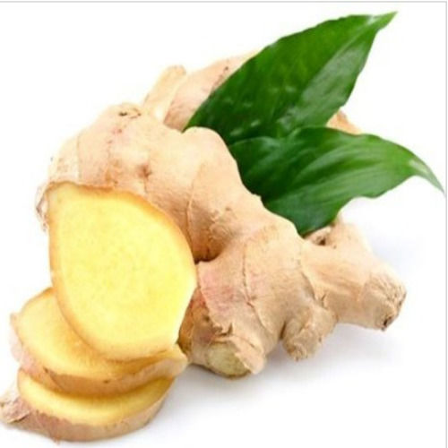 Hygienically Packed No Preservatives Natural Taste Light Yellow Organic Fresh Ginger