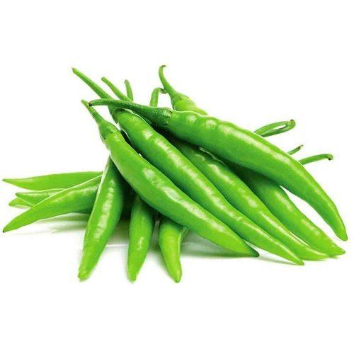 Maturity 100 Percent Hot Spicy Natural Taste Fresh Green Chilli