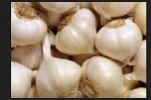 White A Garde 100% Pure And Fresh Indian Dried Whole Garlic For Cooking With Pesticide Free  Shelf Life: 4-9 Months