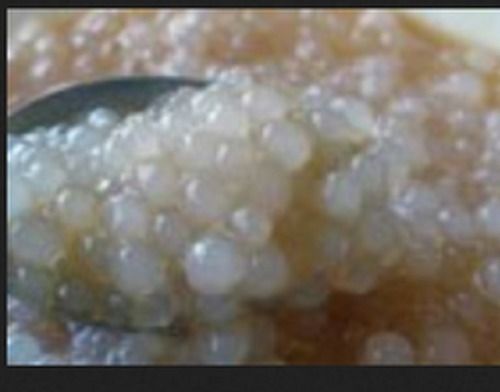 A Grade High In Protein Fresh And Hygienic Light Sweet Taste Round Shape White Sago Seed