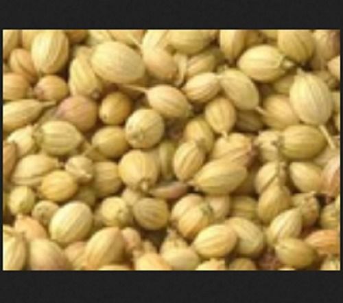 Light Yellow 100% Pure And Hygienic Round Oval Shape Dried Coriander, Indian Spices