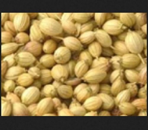 Light Yellow 100% Pure And Hygienic Round Oval Shape Dried Coriander, Indian Spices Grade: Food Grade