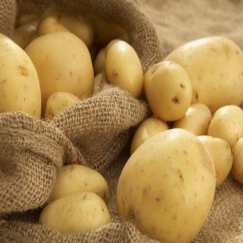 Round & Oval Maturity 99 Percent Floury Texture Natural Taste Brown Organic Fresh Potato