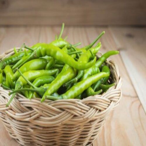 Spicy Natural Taste Rich In Color Organic Fresh Green Chilli