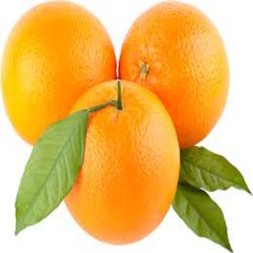 Juicy Delicious Natural Rich Taste Healthy Fresh Orange