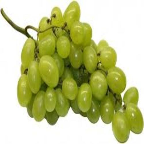 Rich Sweet Delicious Taste Healthy Fresh Green Grapes