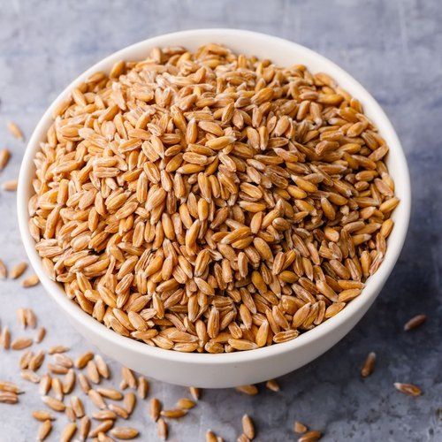 B Grade Milling Wheat