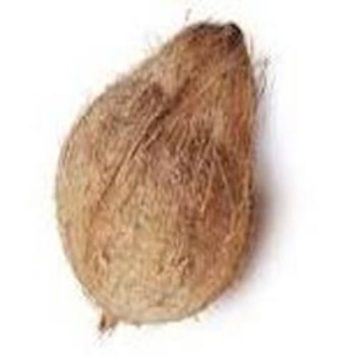 Healthy Natural Rich Taste Brown Semi Husked Coconut