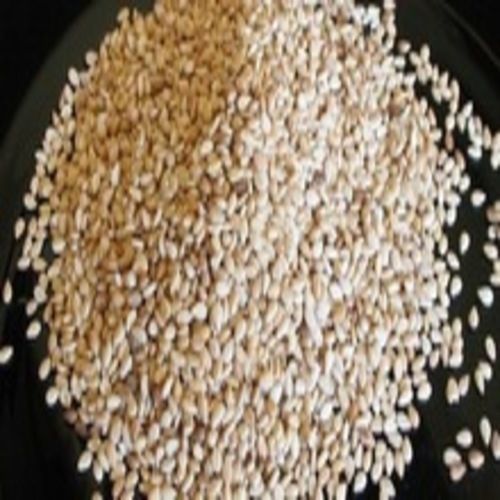 Purity 98 Percent Healthy Natural Rich Taste Dried White Sesame Seed