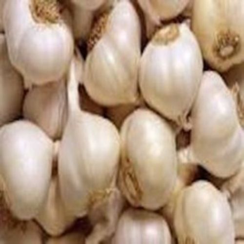 Rich Natural Taste Healthy White Fresh Garlic with Pack Size 25kg