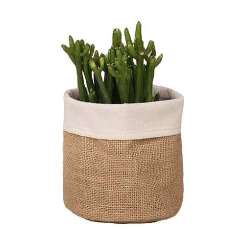 Round Shape Eco Friendly Breathable Planter Bags With Jute And Cotton Materials