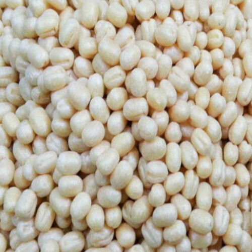 Healthy Natural Taste Rich Protein Dried White Organic Urad Dal Grain Size: Standard