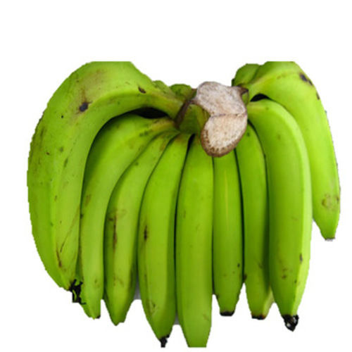 Maturity 100 Percent Absolutely Delicious Rich Natural Taste Healthy Green Fresh Banana