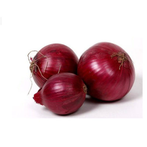 Maturity 100 Percent Enhance The Flavor Rich Healthy Natural Taste Red Fresh Onion