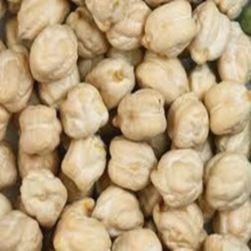 Maturity 100 Percent Healthy Natural Rich Taste Dried White Kabuli Chick Peas