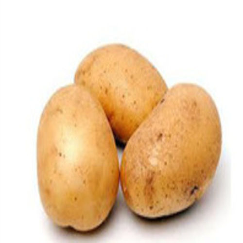 Maturity 100 Percent Rich Natural Delicious Taste Mild Flavor Brown Fresh Potato