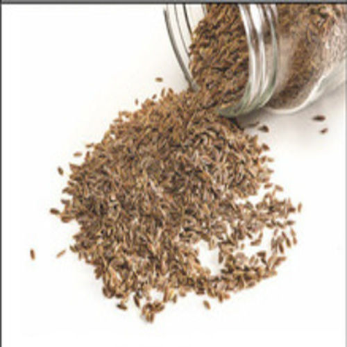 Common Moisture 12 Percent Rich Natural Taste Healthy Dried Brown Carom Seed