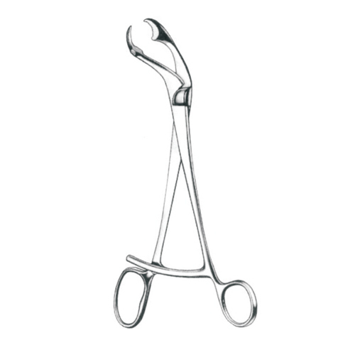 Stainless Steel Surgical Verbrugge Clamps