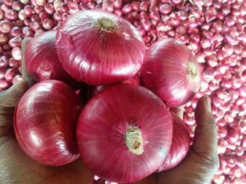 fresh red onion