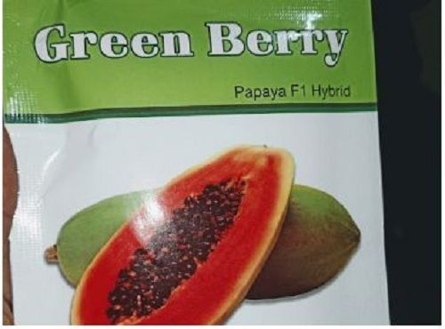 A Grade 100% Pure And Organic Green Berry Papaya F1 Hybrid Seeds