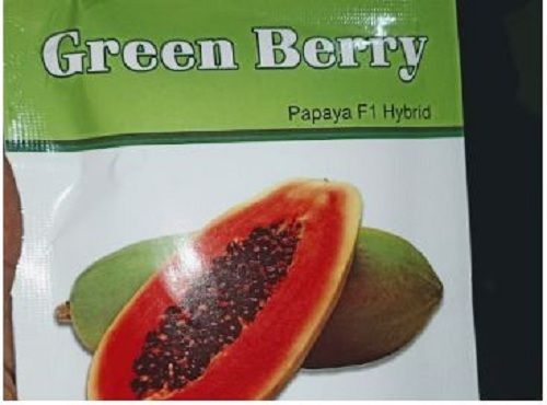 Dark Brown A Grade 100% Pure And Organic Green Berry Papaya F1 Hybrid Seeds