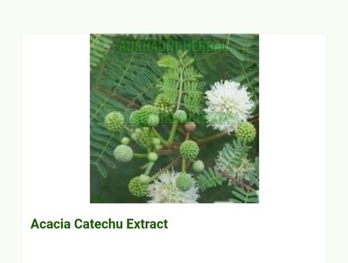 Herbal Acacia Catechu Extract Shelf Life: 2 Years