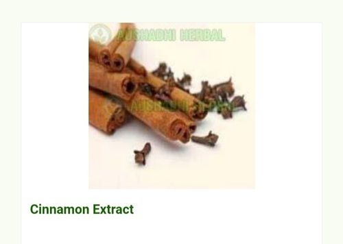 Hyginically Processed Brown Color Herbal A Grade Cinnamon Extract
