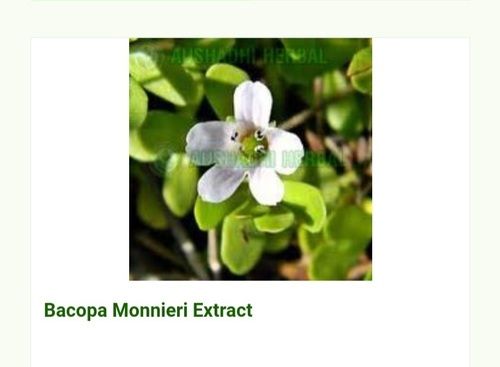 Hyginically Processed Fresh And Natural Herbal A Grade Bacopa Monnieri Extract Shelf Life: 2 Years