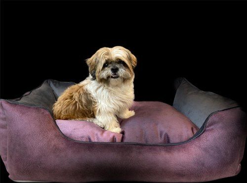 Printed Velvet Pet Bed For Dog Sleeping With Polyester Material And Filling Micro Fiber