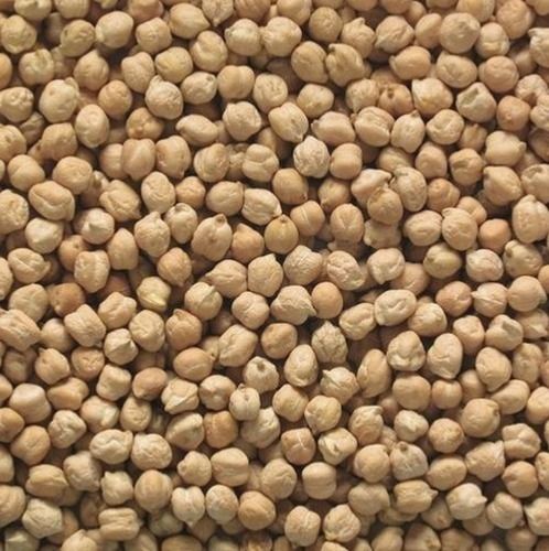 Best Price Export Quality A Grade Organic Indian Dollar Chana, 30kg, 50kg, 100kg Bag