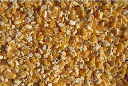 Best Price Export Quality Dried Yellow Maize With High Protein, 50 Kg Bag