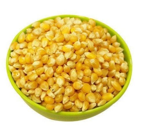 Export Quality Dried And Cleaned A Grade Organic Yellow Maize, 5kg, 10kg, 25kg , 50kg Bag