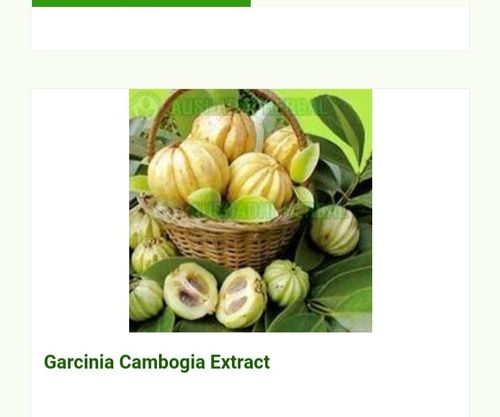 Hyginically Processed Fresh and Natural Herbal A Grade Garcinia Cambogia Extract