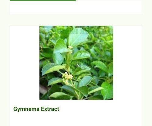 Hyginically Processed Fresh And Natural Herbal A Grade Gymnema Extract Shelf Life: 3 Years