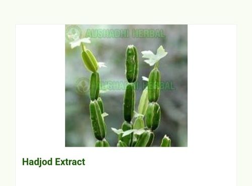 Hyginically Processed Fresh and Natural Herbal A Grade Hadjod Extract
