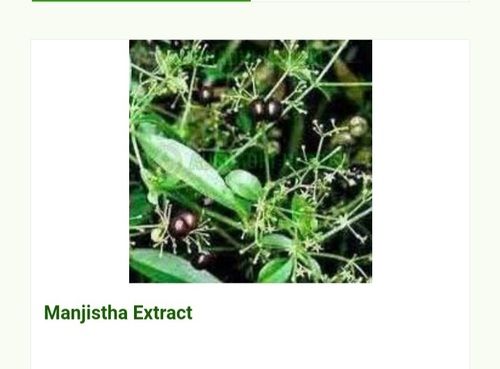 Hyginically Processed Fresh and Natural Herbal A Grade Manjistha Extract