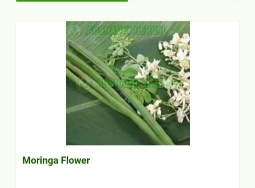 Hyginically Processed Fresh And Natural Herbal A Grade Moringa Extract Shelf Life: 2 Years