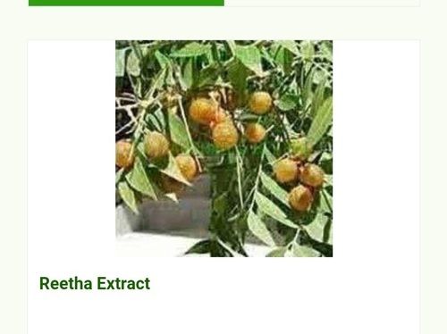Hyginically Processed Fresh and Natural Herbal A Grade Reetha Extract