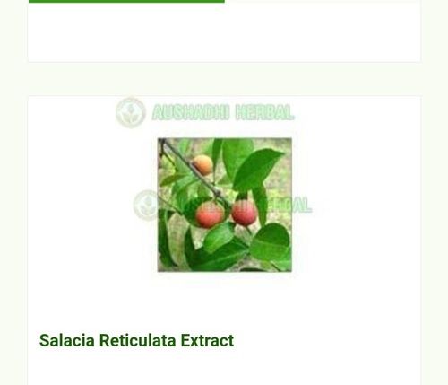 Hyginically Processed Fresh and Natural Herbal A Grade Selacia Reticulata Extract