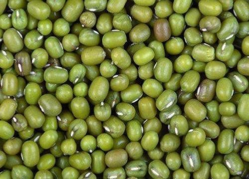 Wholesale Price Export Quality High in Protein Whole Green Moong, 50Kg Bag