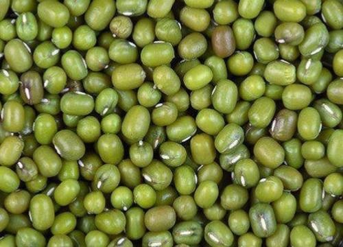 Wholesale Price Export Quality High In Protein Whole Green Moong, 50kg Bag