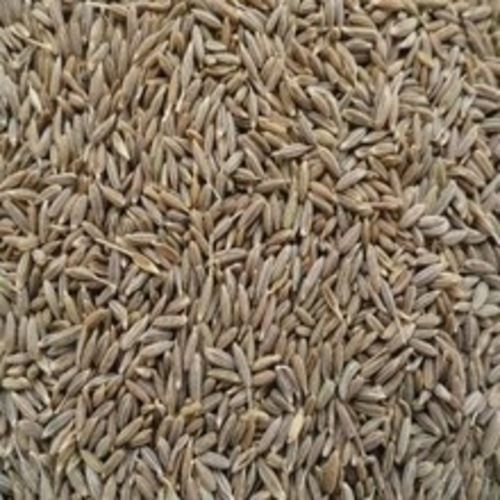 Aromatic Healthy Natural Rich Taste Dried Brown Cumin Seeds