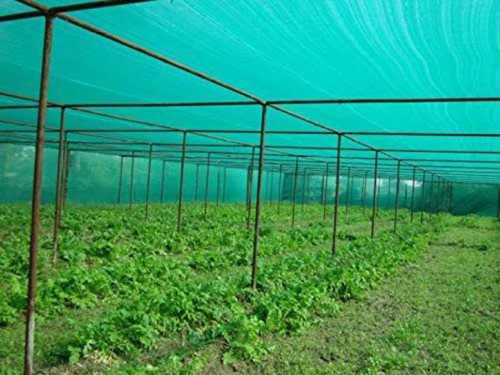 Flexible 90 to 100 Meter Length Green Plastic Agriculture Shade Net