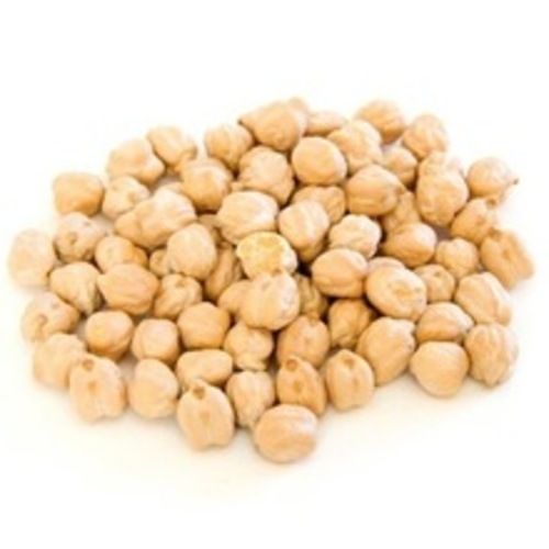 Healthy Natural Taste Rich Protein Dried White Chickpeas