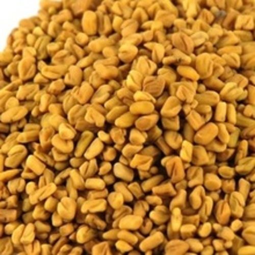 Natural Rich Taste Healthy Dried Yellow Fenugreek Seed Shelf Life: 2 Years