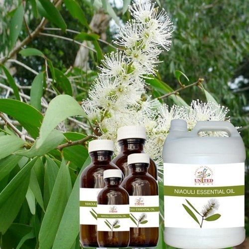 Antiviral, Antifungal And Antiseptic Niaouli Essential Oil For Medicinal Use
