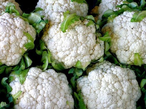 Calcium 2 Percent Rich Natural Taste Healthy Organic White and Green Fresh Cauliflower